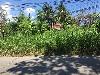 2-Hectare Lot for Sale in Dumaguete